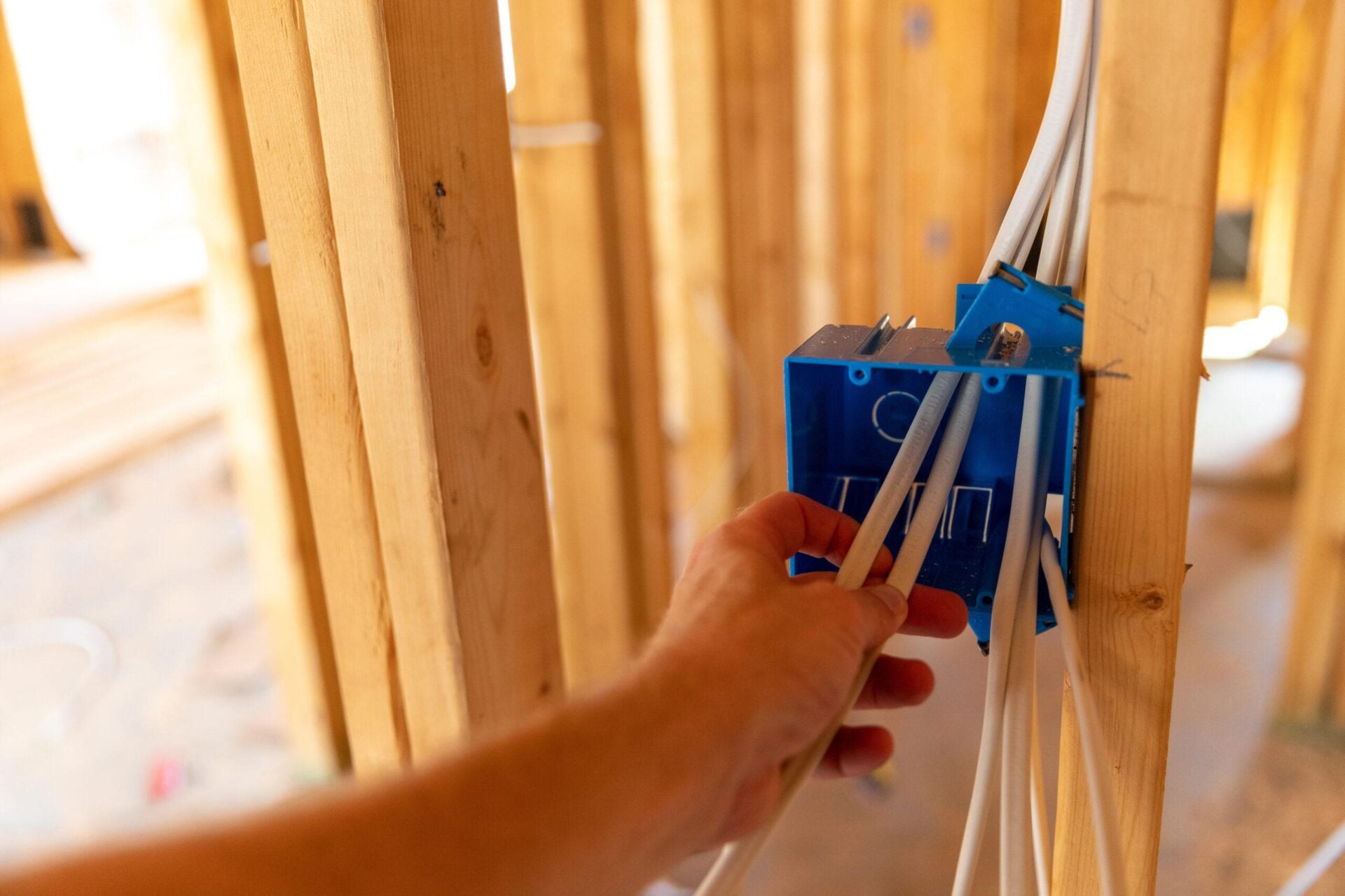 Electrical cables routed into a box during home installation